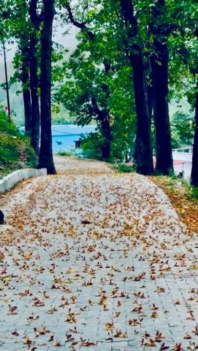 Cosmic Homes #River#Forest Dehradun Exterior photo